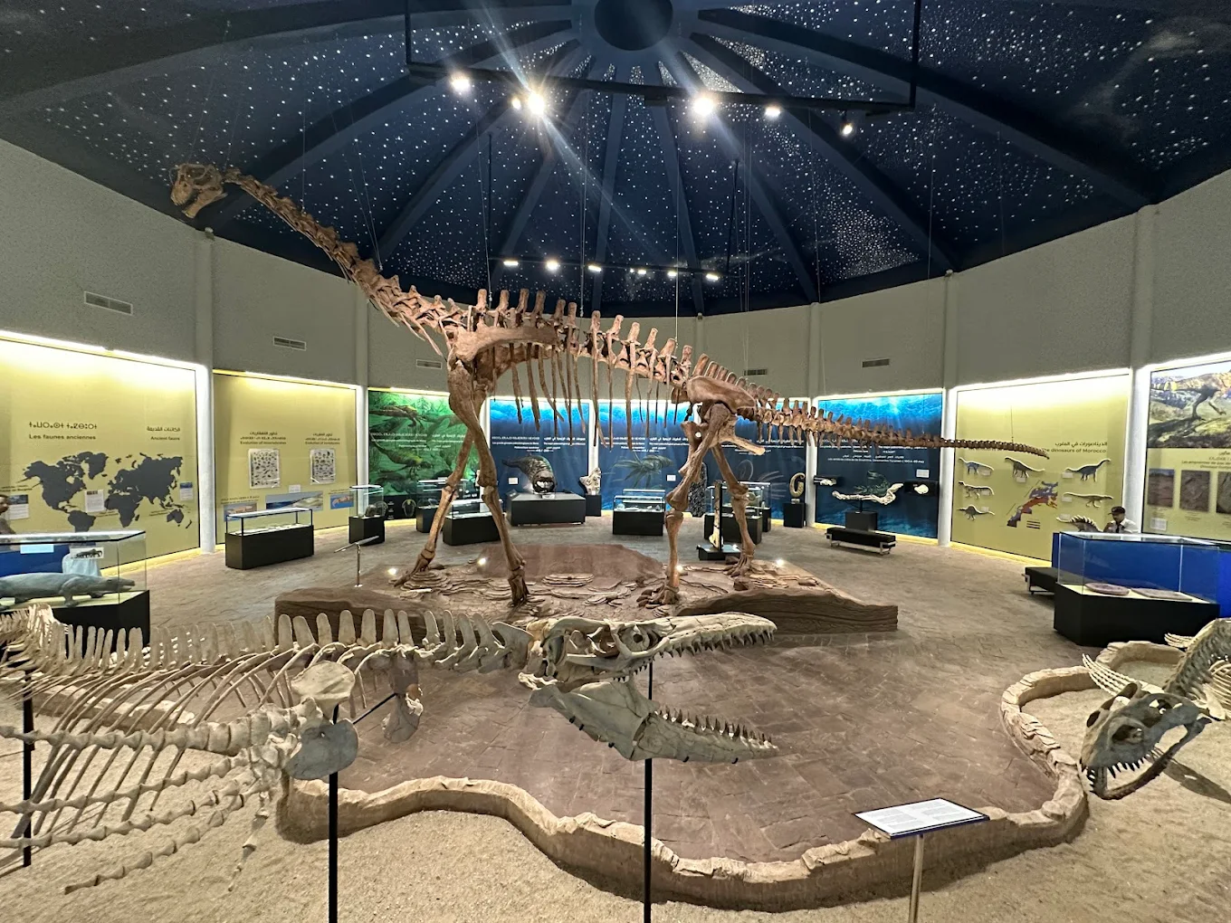 Salle principale — Musée des dinosaures du Maroc