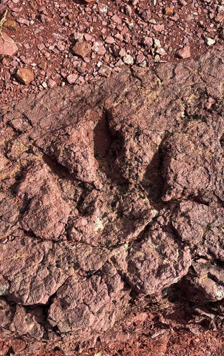 Trace de dinosaure — Géosite d'Iwariden