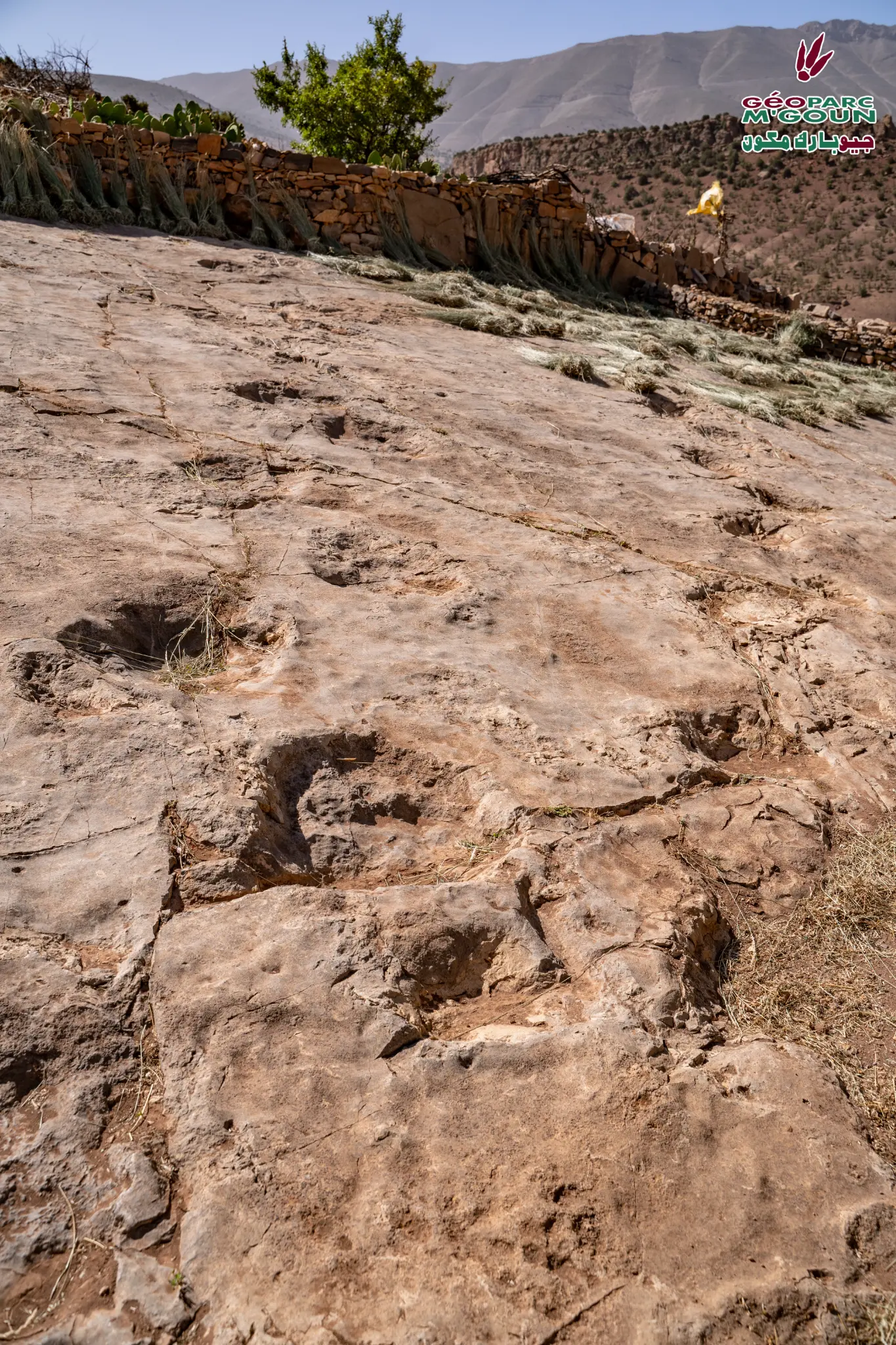 Empreintes de dinosaures d'Ibaqualliwn