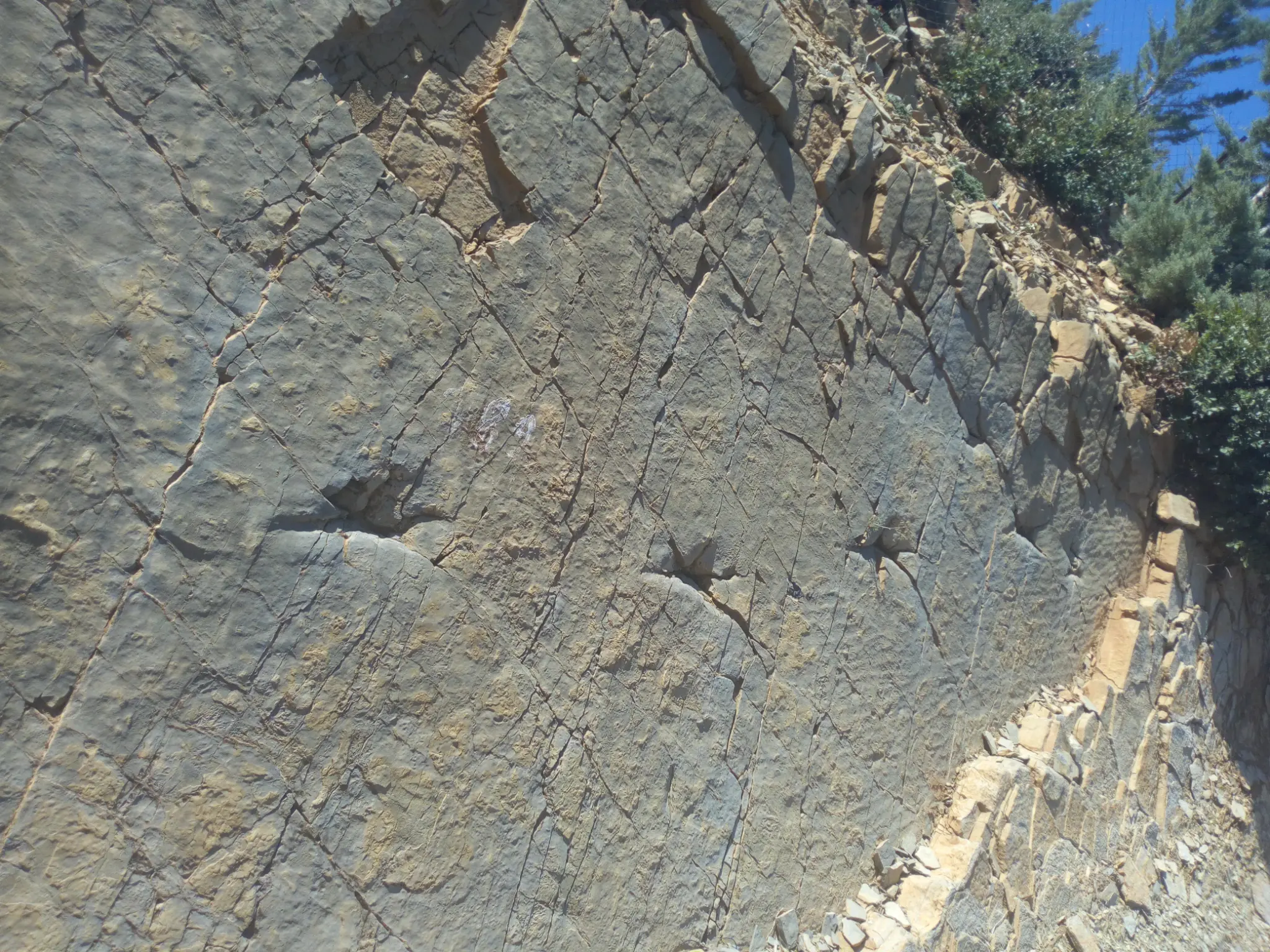 Empreintes de dinosaures d'Aït Blal