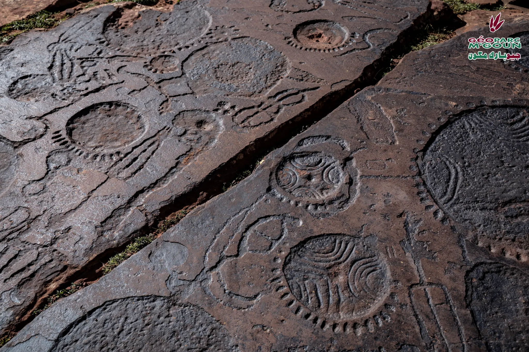 Tizi-n-Tighist Rock Engravings