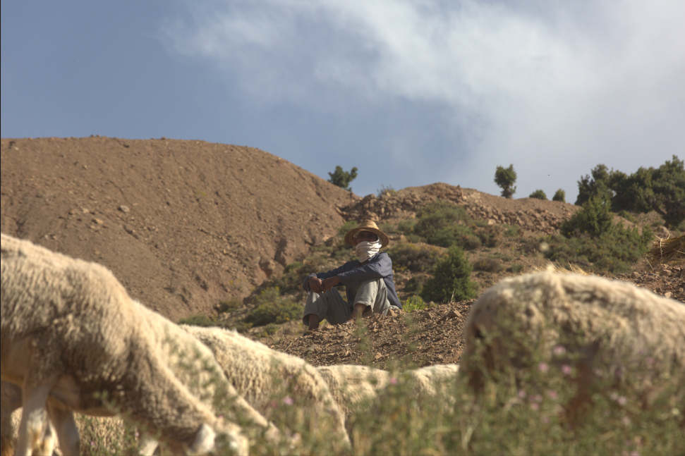 Nomadic and Agropastoral Communities