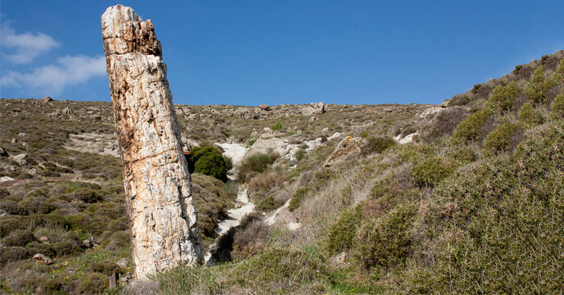 Lesvos Geopark, Greece