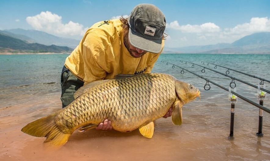 Sport Fishing