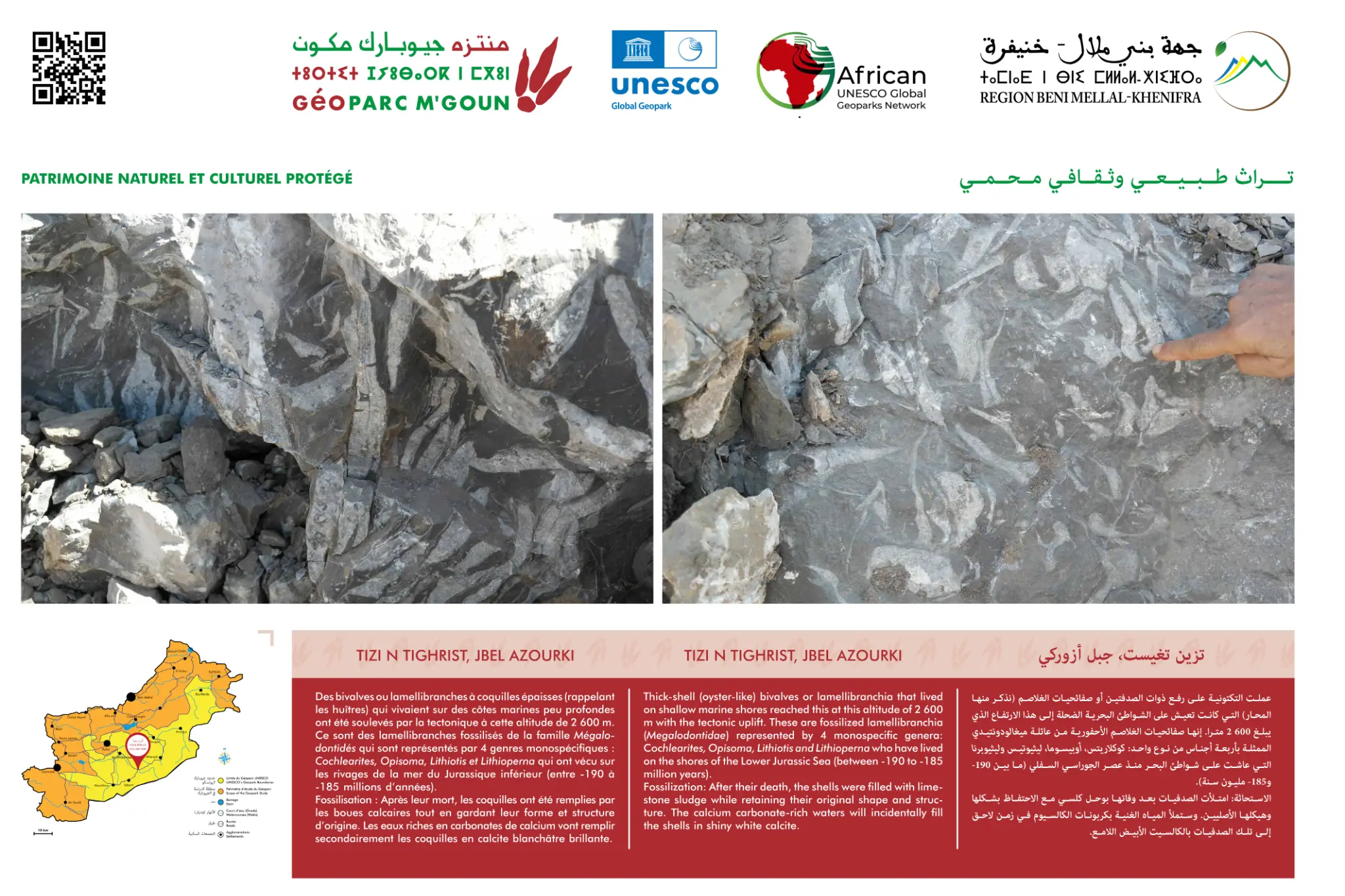Interpretive panel — Tizi-n-Tighrist Lamellibranchs