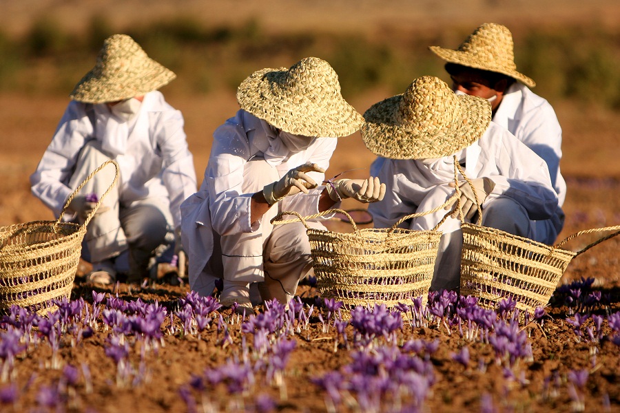 Saffron Valley Community